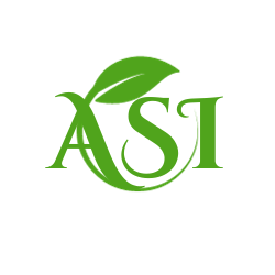 ASI Consulting Group's Logo